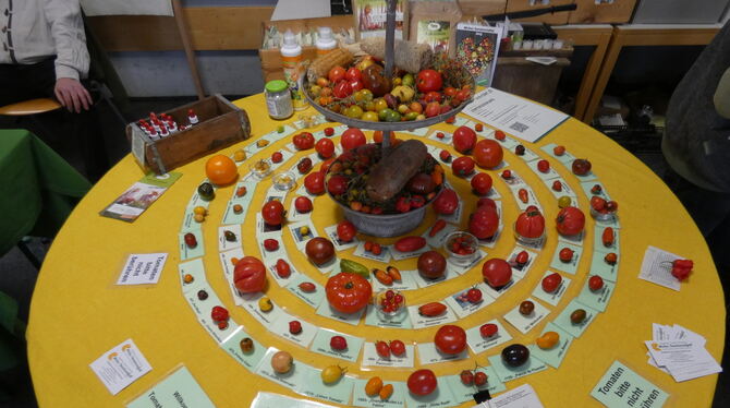 Eine Auswahl an Tomaten zu den passenden Samen. FOTOS: MAIER