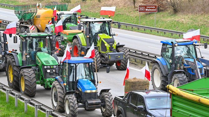 Die seit Wochen anhaltenden Proteste polnischer Bauern richten sich gegen die EU-Agrarpolitik, aber auch gegen die Einfuhr güns