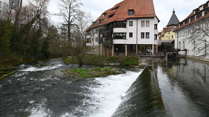 Die Echaz in Reutlingen und fünf anderen Kommunen am Fluss spielt eine zentrale Rolle bei der Machbarkeitsstudie für die Bundesg