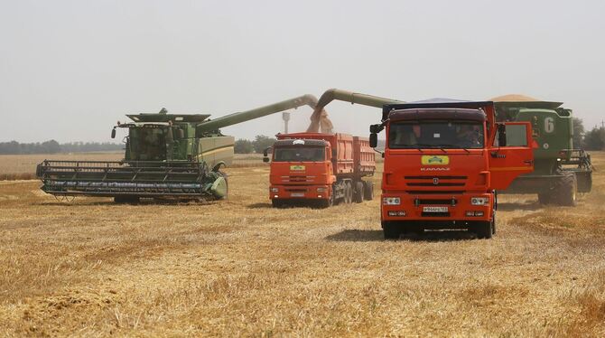 Getreideernte in Russland