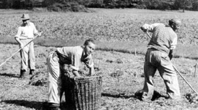 Werner Eder (Mitte) als junger Mann bei der Arbeit in der Landwirtschaft von Mariaberg. Etliche seiner Freunde sind in der Gaskammer von Grafeneck getötet worden.
FOTO: PR