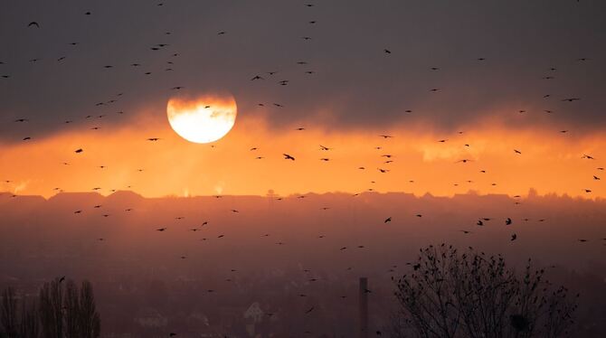 Sonnenuntergang