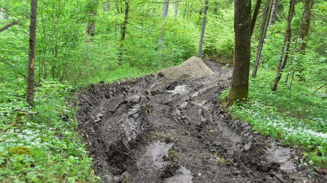 Würde man eine solche marode Rückegasse befahren – auch wenn das Navi-Gerät diesen Weg anzeigt? Im Hintergrund die abgekippte Sc