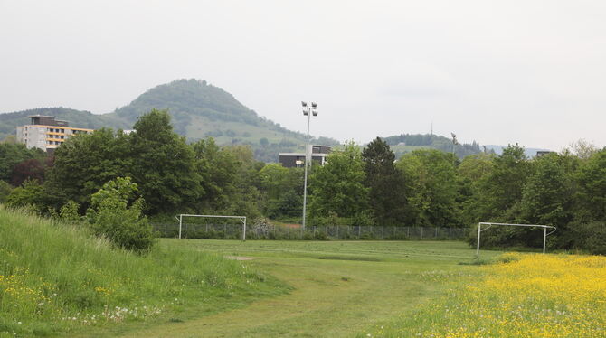 Die Achalmstadt darf sich freuen: Um das Carl-Diem-Stadion soll eine Discgolf-Anlage entstehen. FOTO: STEPHAN