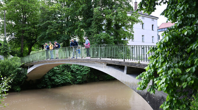 Ein filigraner Steg an markanter Stelle: Hier gab’s schon vor 170 Jahren einen Übergang zur und von der Neckarinsel. FOTO: PIETH