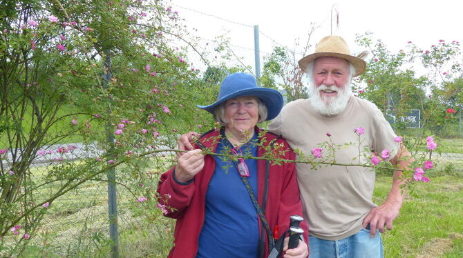 Das Ehepaar Sybille und Hartmut Gaebele in ihrem Rosenpark in Mössingen. FOTO: WEBER