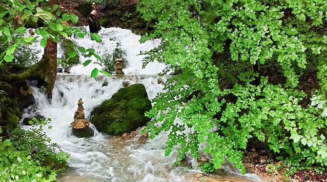 Die Föhnerquelle in Honau sprudelt wie ein Wasserfall.