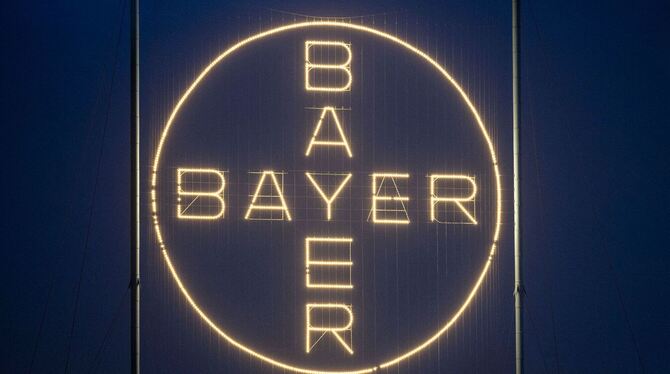 Bayer