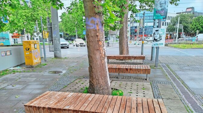 Einige der neuen Sitzbänke in der Cannstatter Altstadt.  FOTO: FREY