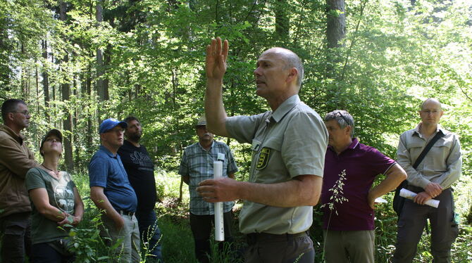 Revierförster Reinhold Gerster (vorne) erklärte beim Nehrener Waldumgang am Freitag, wie der Forst der Gemeinde in den kommenden