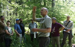 Revierförster Reinhold Gerster (vorne) erklärte beim Nehrener Waldumgang am Freitag, wie der Forst der Gemeinde in den kommenden