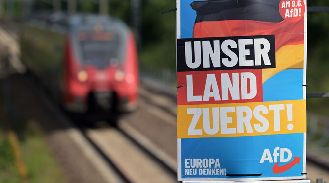 Nationalstaat statt Europa: So wirbt die AfD in Potsdam um Wähler. FOTO: BAHLO/DPA