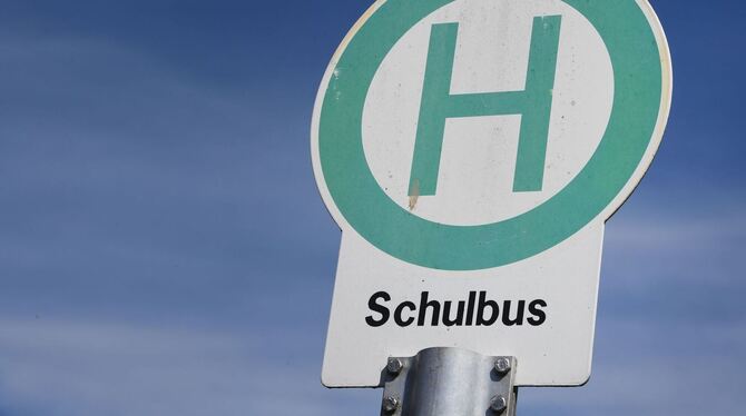 Schulbus bleibt am Straßenrand stecken