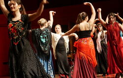 Flamenco vom Feinsten war nur einer der zahlreichen Höhepunkte an diesem besonderen Abend des Kepi-Soirées in der Reutlinger Sta