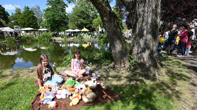 Sina und Lisa bieten beim Ententeichfest Plüschtiere an. Ihr Kinderflohmarkt ist so attraktiv wie alle Stände des Stadtteilfeste