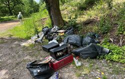 Zerstörte Idylle durch illegale Müllentsorgung im Neckartal zwischen Lustnau und K-furt auf der alten B 297 Trasse.