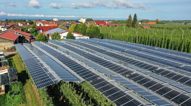 Doppelte Landnutzung und ein Beispiel wie solche Solarparks aussehen können: Eine Agri-Fotovoltaikanlage überspannt eine Apfelpl