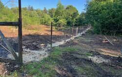 Der Zaun des Wildschweingeheges auf der Eninger Weide wird erneuert. Gleichzeitig wurden im und am Gehege einige Bäume gefällt.