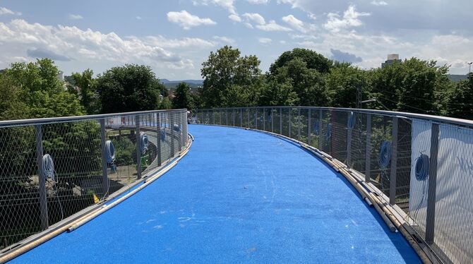 Die sogenannte Fahrradbrücke West über die Tübinger Europastraße nimmt weiter Gestalt an.