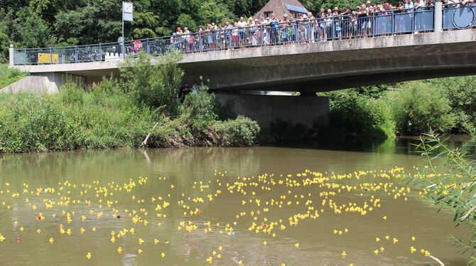 Welche Ente kommt als erste ins Ziel? Mehr als 1000 der possierlichen Tiere sind am 7. Juli in Altenburg am Start.