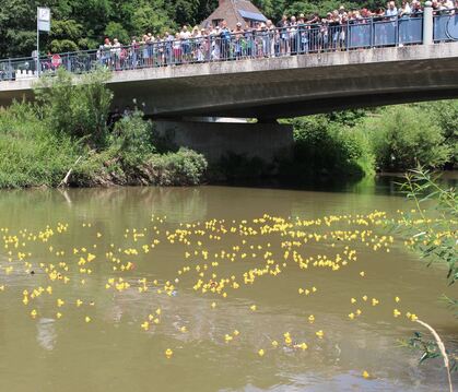 Welche Ente kommt als erste ins Ziel? Mehr als 1000 der possierlichen Tiere sind am 7. Juli in Altenburg am Start.  