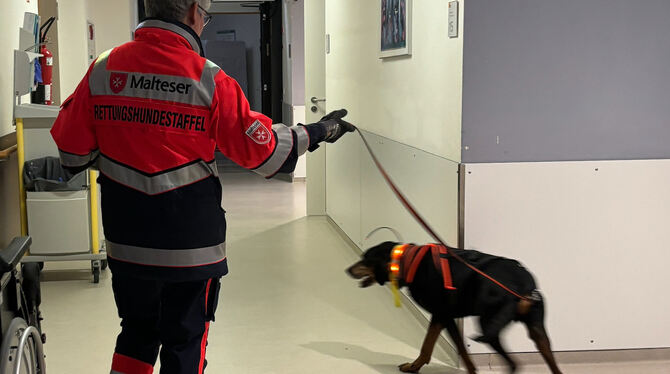 Rettungshund Nero brauchte nur wenige Minuten, um den Gesuchten im Krankenhaus zu finden.  FOTO: MALTESER