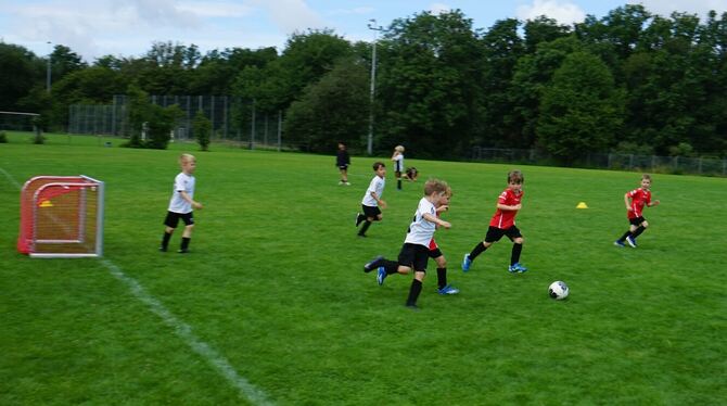 Die Bambinis kickten beim Sportwochenende des TSV Kusterdingen.  FOTO: STRAUB