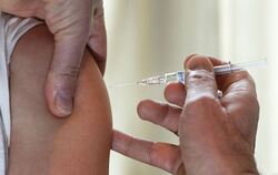 Vogelgrippe-Impfstoff