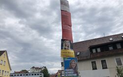 Wahlplakate von oben bis unten. Seit mehr als einem Monat hängen sie in Reutlingen, wie hier in der Albstraße