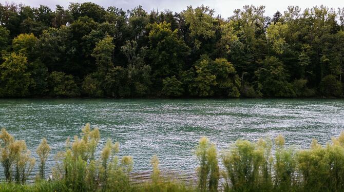 Deutscher nach Unfall auf dem Rhein vermisst