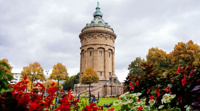 Was 2023 angesagt sein könnte - Mannheim