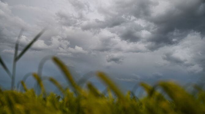 Wolken über Weizenfeld