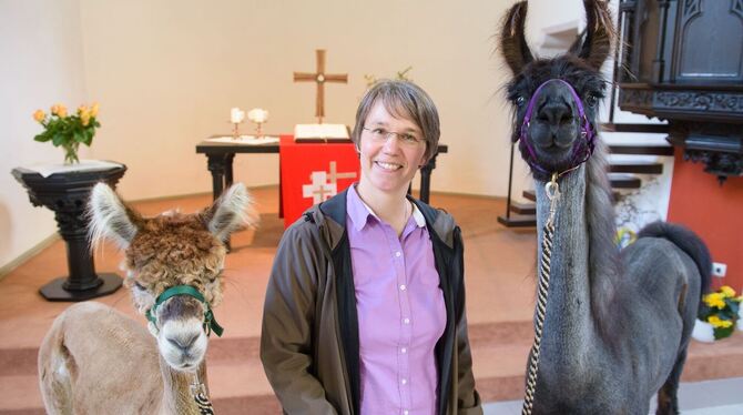 Pfarrerin mit Lamas und Alpakas im Auftrag des Herrn unterwegs
