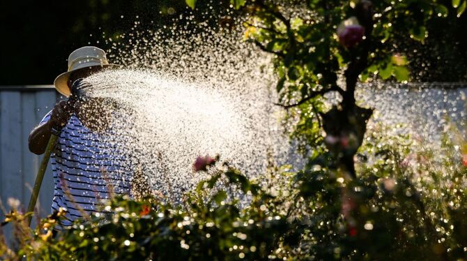 Bewässerung von Blumenbeet