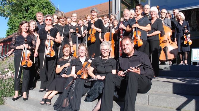 Das Reutlinger Kammerorchester kommt zum Sommerkonzert.  FOTO: VEREIN