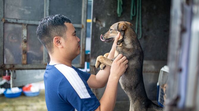 Hundefleischhandel in Vietnam