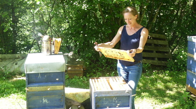 Imker brauchen sehr viel Wissen über Bienen. Dr. Eva Frey betreut angehende Bienenhalter.