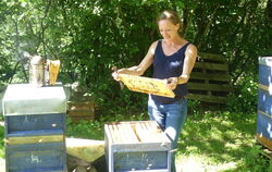 Imker brauchen sehr viel Wissen über Bienen. Dr. Eva Frey betreut angehende Bienenhalter.