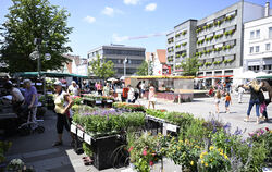 Der Reutlinger Wochenmarkt an einem sonnigen Donnerstag Ende Juli. 