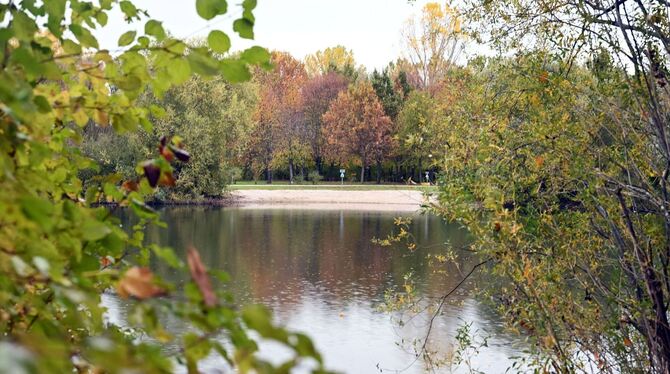 Baggersee Germersheim