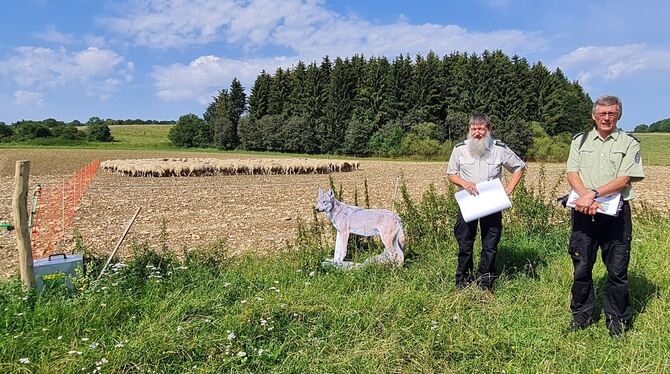 Noch ist der Wolf eine Attrappe. Bis der echte kommt, ist es aber nur eine Frage der Zeit: Olaf Klußmann (links) und Marco Reeck