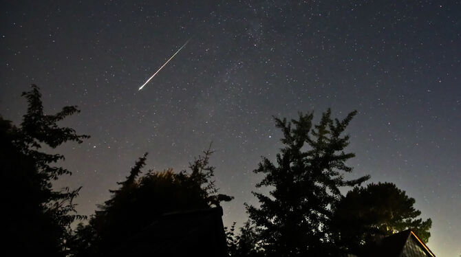 Eine Perseiden-Sternschnuppe leuchtet am Nachthimmel auf.