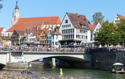 Der Triathlon ist immer im Sommer ein großes Event in Tübingen. Dazu gehört auch der Schwimmwettbewerb im Neckar.