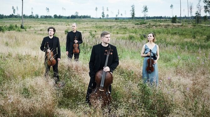 Das Signum Quartett kommt am 4. September und gibt auch wieder einen Kammermusikkurs.