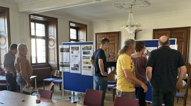 Ideensuche für die Gestaltung des künftigen Gammertinger Internetauftritts im Schlosssaal.  FOTO: STADT