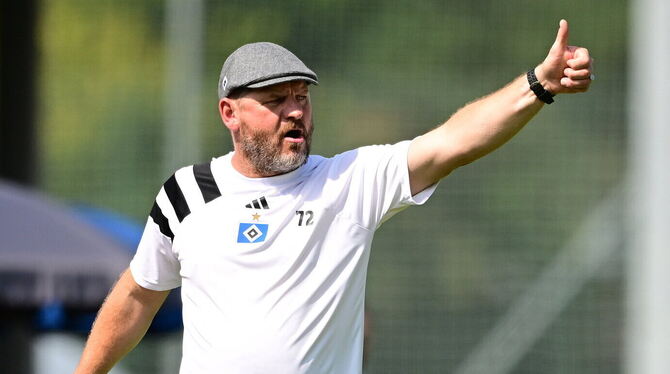 Eine Kultfigur soll den HSV endlich wieder zurück in die Bundesliga führen: Trainer Steffen Baumgart.