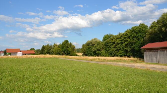 Reichenecker Nahwärmeprojekt: Auf dieser Wiese soll die Energiezentrale gebaut werden.