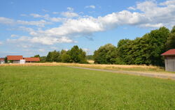 Reichenecker Nahwärmeprojekt: Auf dieser Wiese soll die Energiezentrale gebaut werden.