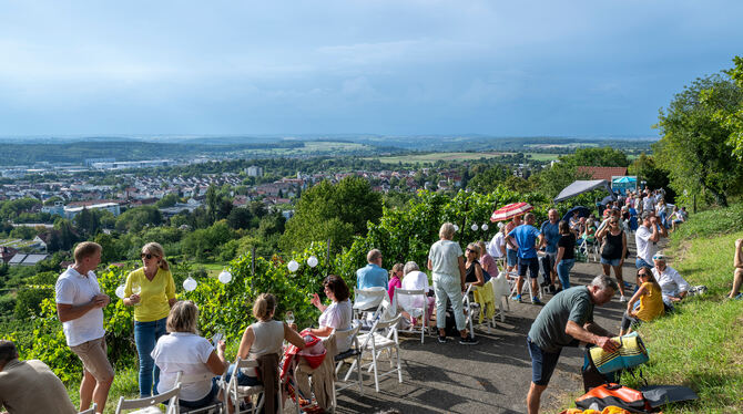 Der Metzinger Weinberg war bereits im vergangenen Jahr gut besucht.  FOTO: MMT