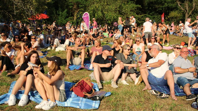 Chillen am Weinberg: In der Steillage war kaum noch ein Sitzplatz frei.